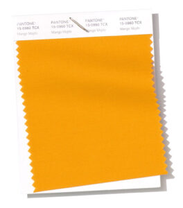 el naranja-amarillo más vibrante del fASHION COLOR REPORT PARA EL 2019